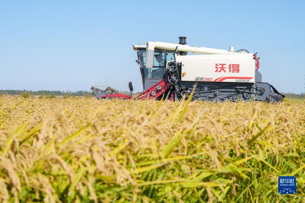 新天地加微信免费送分